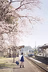 いつもの駅の桜